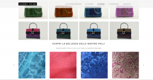 Dettaglio Sezione Borse Sandro Vicari